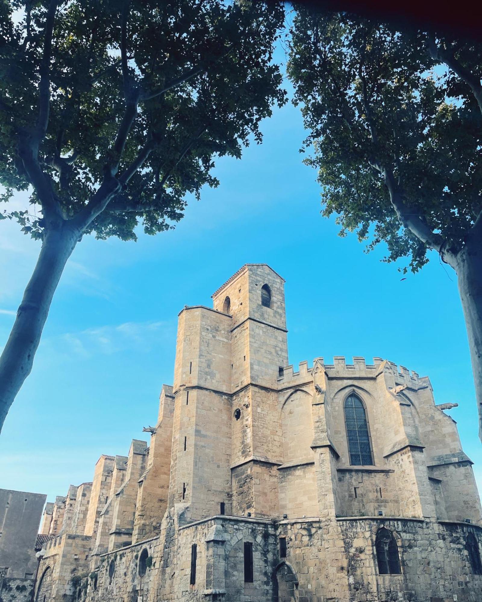 Appartement Chez Rose Narbonne Exterior foto